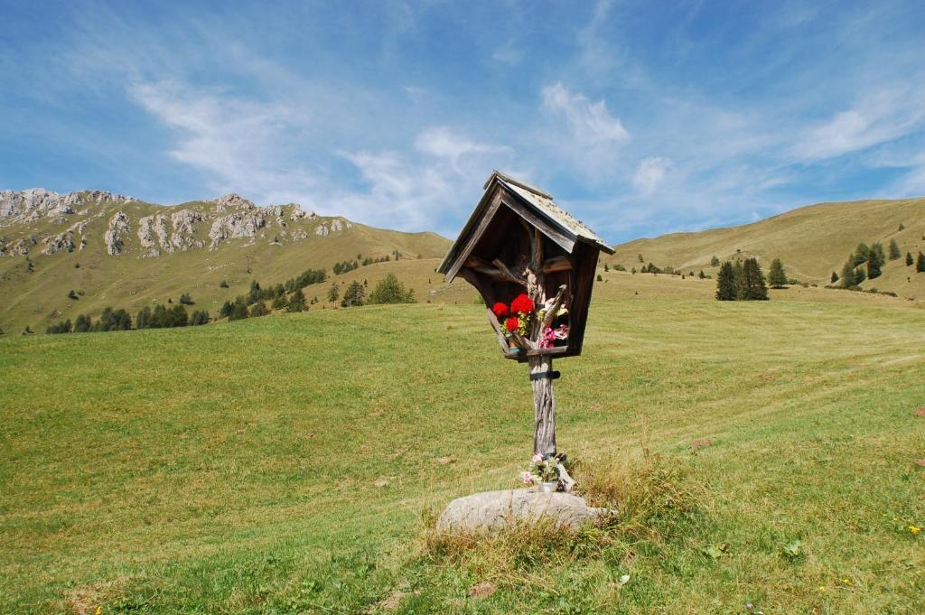 Cimon Dolomites Hotel Predazzo Eksteriør billede